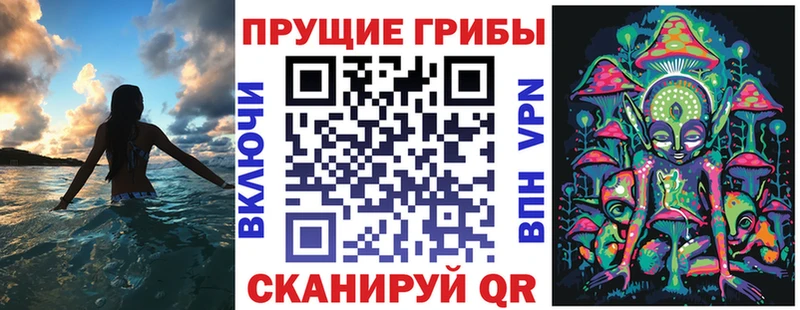 купить наркотик Рассказово Псилоцибиновые грибы GOLDEN TEACHER